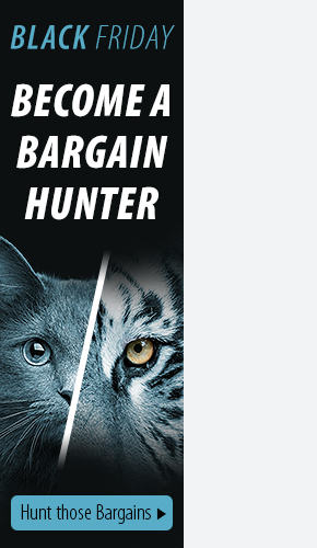 silica cat litter home bargains