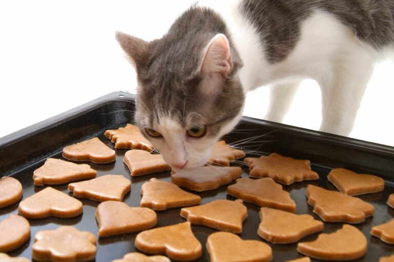 Baking cat cookies