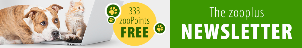 zooplus UK Newsletter subscription March 2021