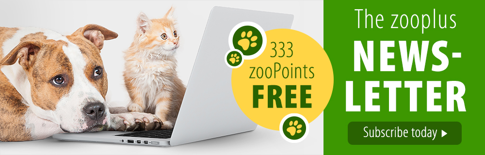 zooplus UK Newsletter subscription March 2021 Mobile