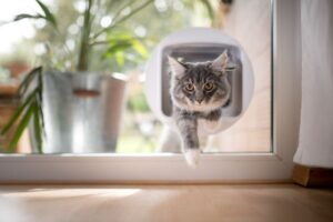 Installing a Cat Flap Made Easy