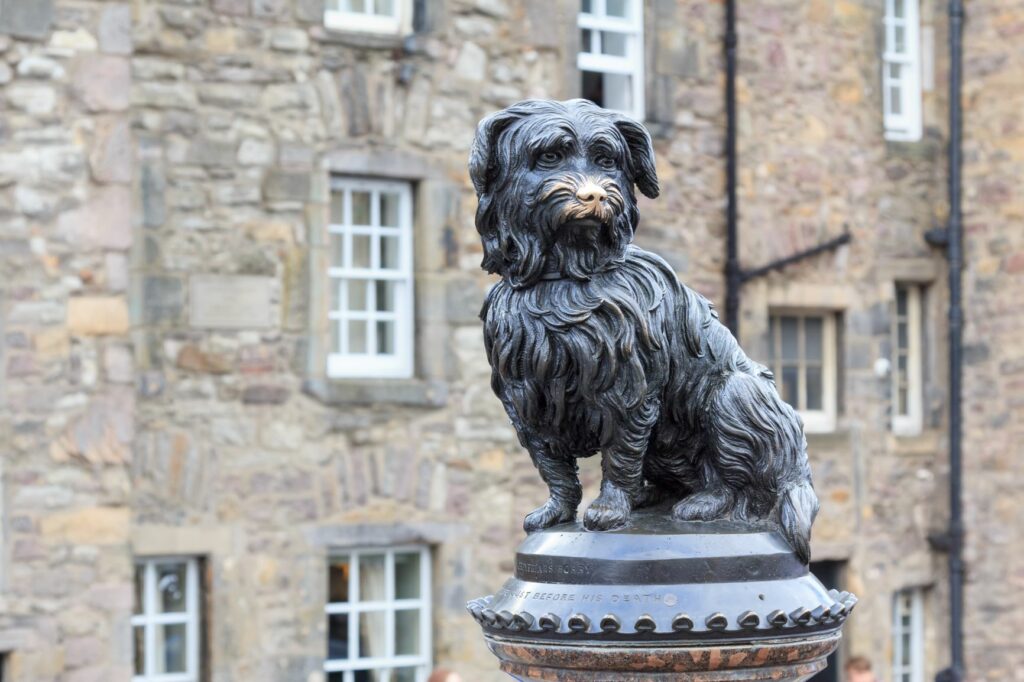 Skye Terrier Dog Statue Skye Terrier Dog Statue