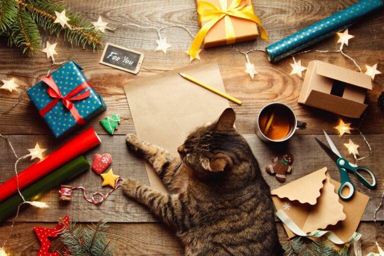Cat with Christmas objects