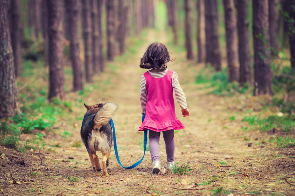 Little girl walking with dog in the forest
