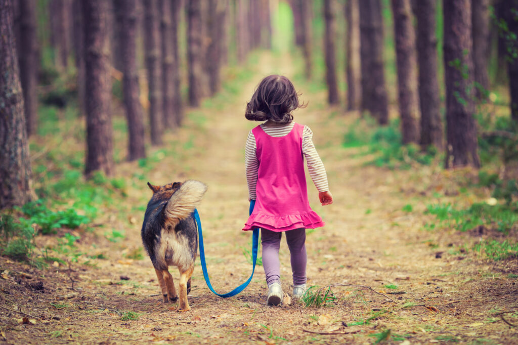 Little girl walking with dog in the forest Little girl walking with dog in the forest
