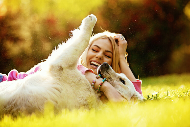 7 reasons why dogs make our lives better