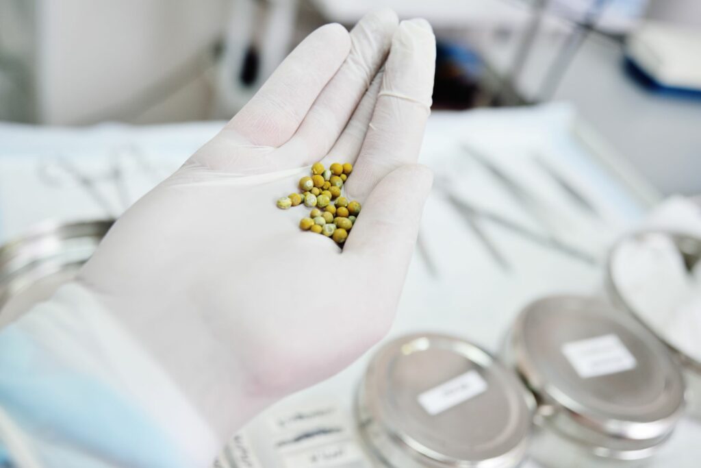 Vet holding a dog's bladder stones