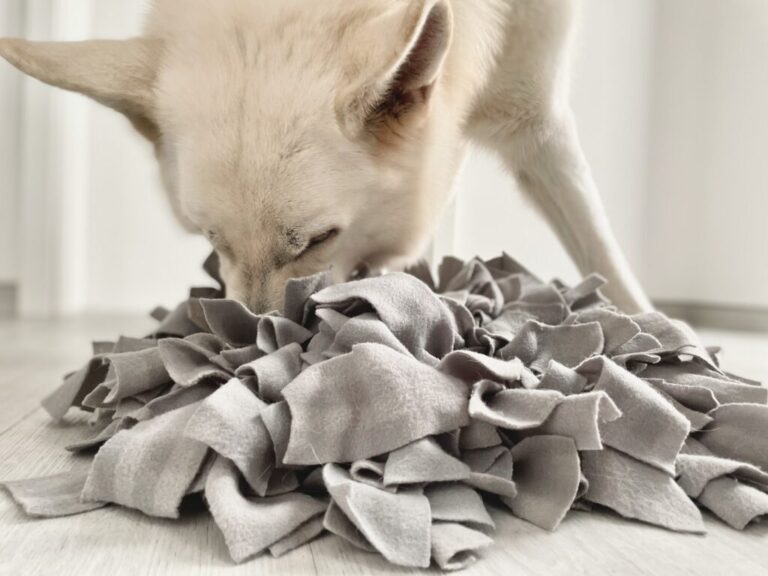DYI snuffle mat DYI snuffle mat