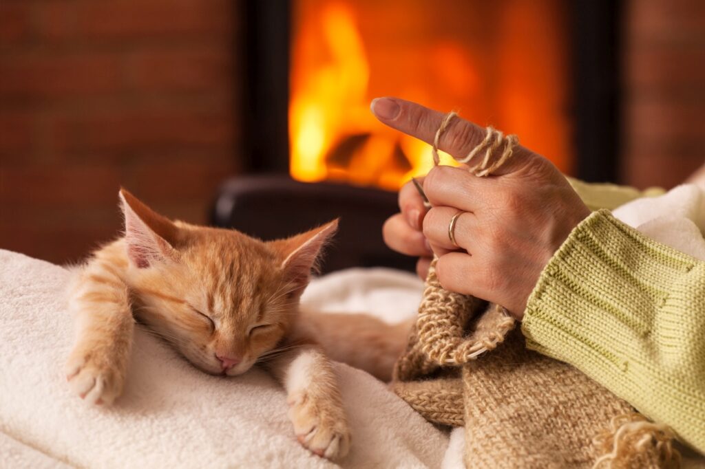 Woman knit in front of the fireplace with her exhausted kitten sleeping in her lap