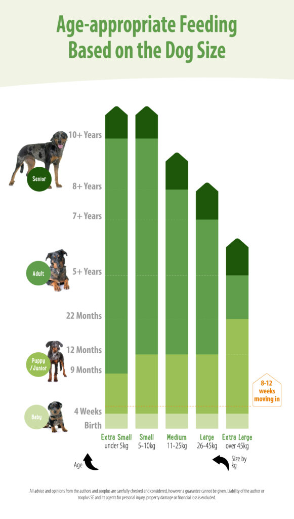 age-appropriate feeding based on the dog size