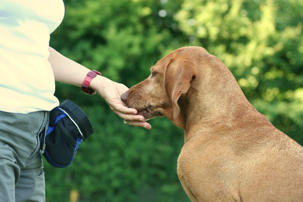 a woman giving her dog a snack