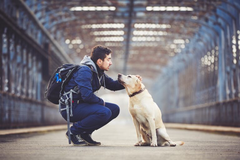 man with a dog at a train station