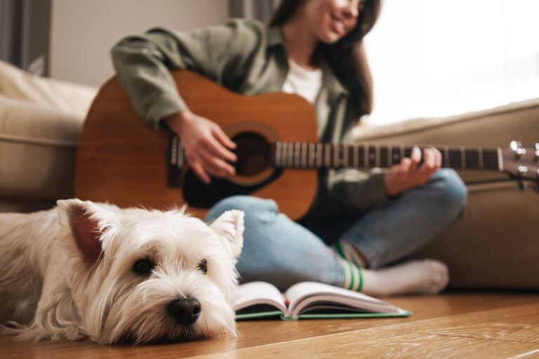 dog relaxing to guitar music