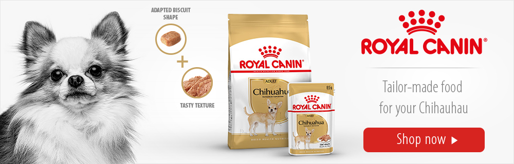 Royal Canin Chihuahua