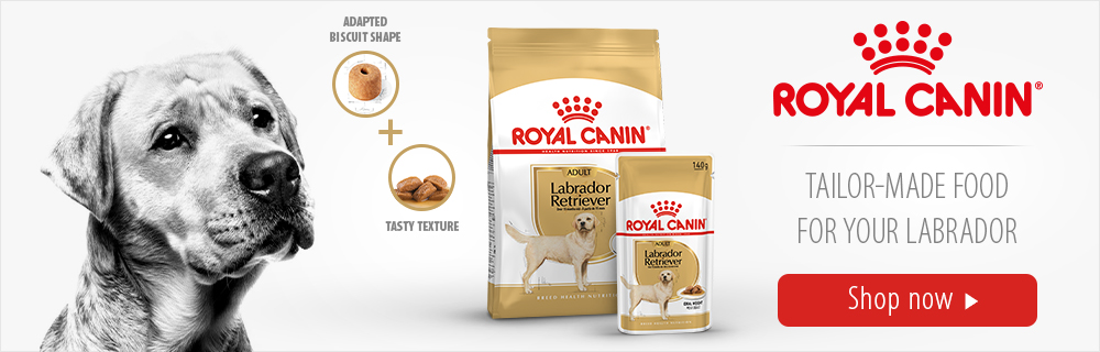 Royal Canin Tailor-Made Food For Your Labrador