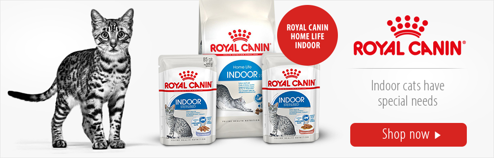 Royal Canin - Indoor cats have special needs