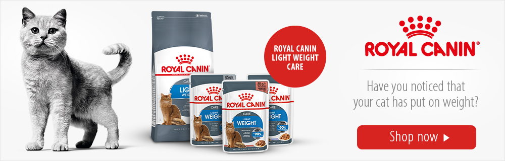 Royal Canin Have you noticed your cat put on weight