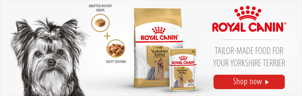 Royal Canin Tailor-Made Food For Your Yorkshire Terrier