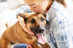 Become a Foster Home for Dogs: Helping Pooches in Need