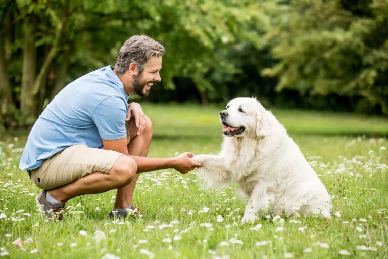 A dog trainer is primarily there to decipher and improve human-animal communication