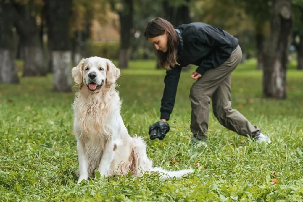 Threadworms in Dogs