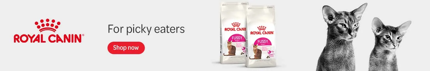 UK_RC_Fussy_Cats_Advertorial_1125