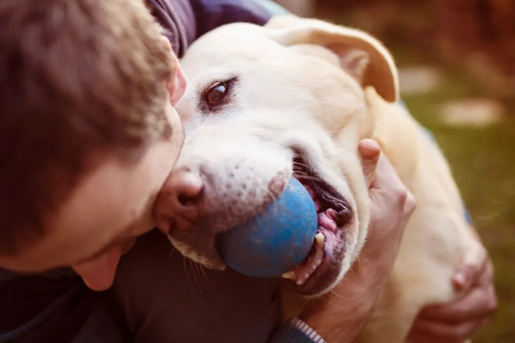 Dog owners practicing dogsharing to manage care.