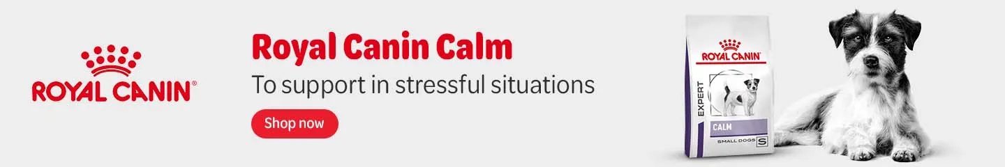 UK_RC_Calm_Dogs_Advertorial_1125