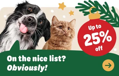 Dog and cat on a banner advertising a Christmas campaign