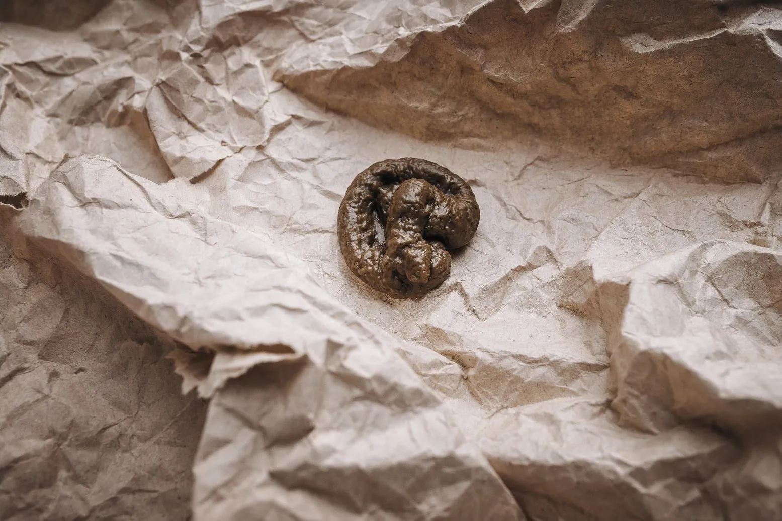 Well formed cat faeces