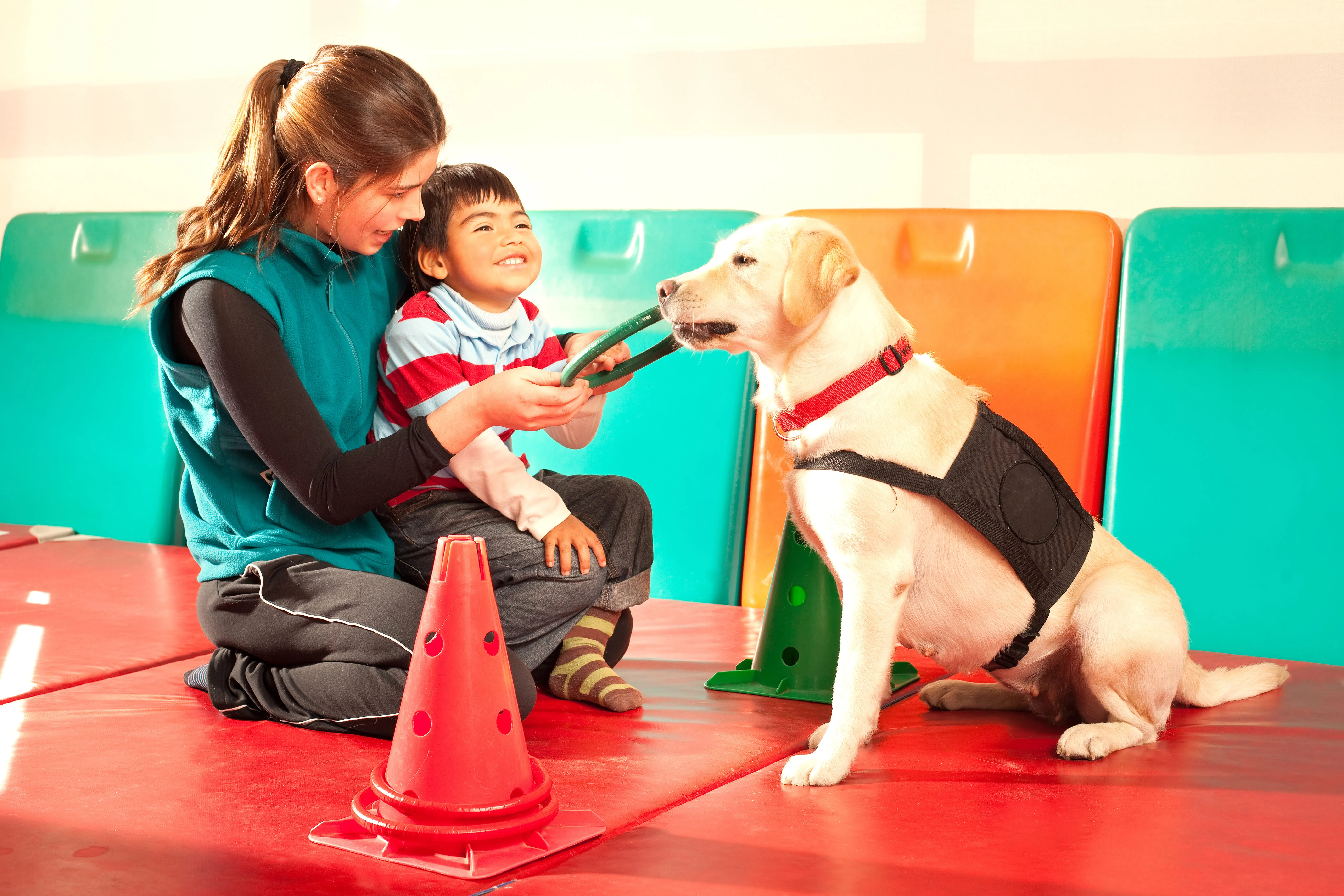 Therapy dog with a child